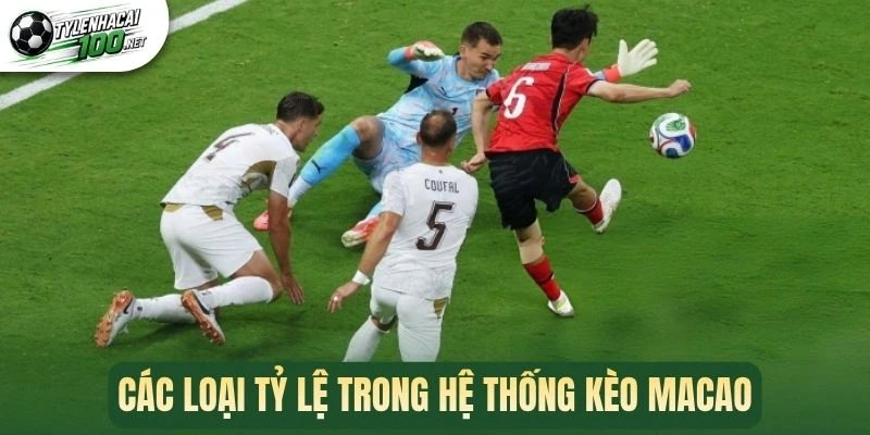 Tỷ Lệ Kèo Macao - Bí Quyết Chốt Cược Nhanh Và Chuẩn Xác 2 Các loại tỷ lệ trong hệ thống kèo Macao