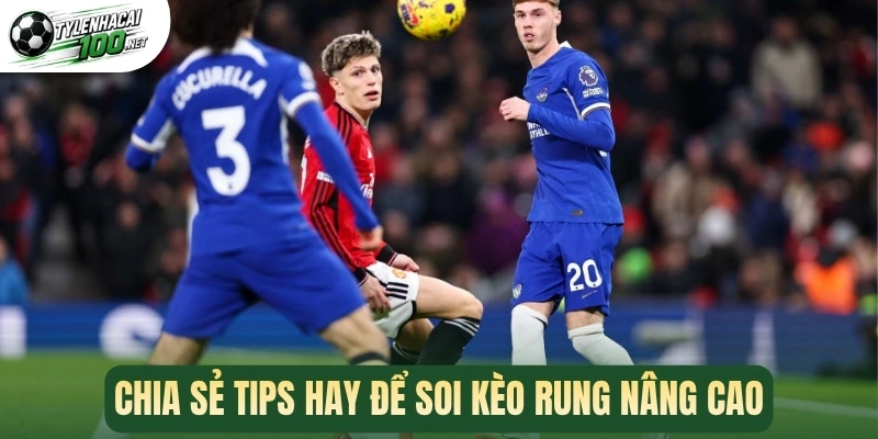Kèo Rung - Cách Phân Tích Dòng Tiền Running Chính Xác 90% 3 Chia sẻ tips hay để soi kèo rung nâng cao