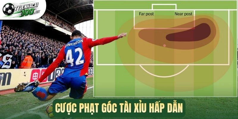 Kèo Phạt Góc - Bí Quyết Soi Kèo Thắng Đậm Mỗi Trận Bóng 2 Cược phạt góc tài xỉu hấp dẫn