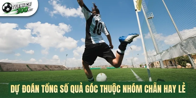 Dự đoán tổng số quả góc thuộc nhóm chẵn hay lẻ