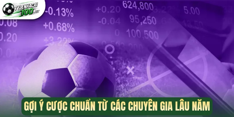 Gợi ý cược chuẩn từ các chuyên gia lâu năm