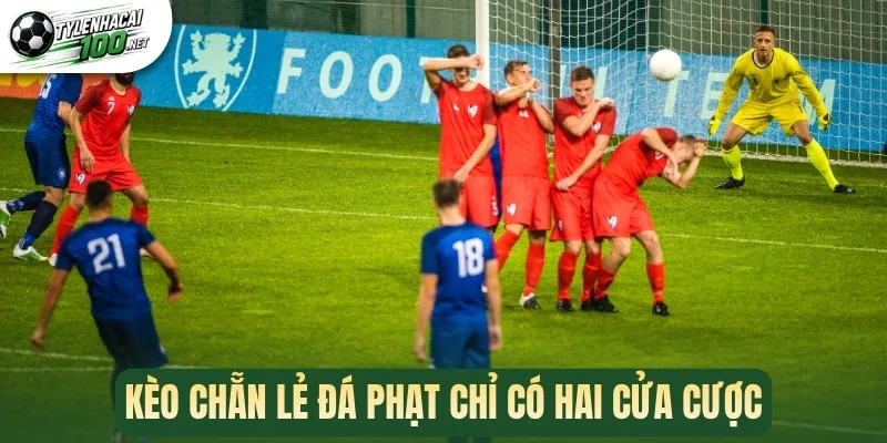 Kèo chẵn lẻ đá phạt chỉ có hai cửa cược