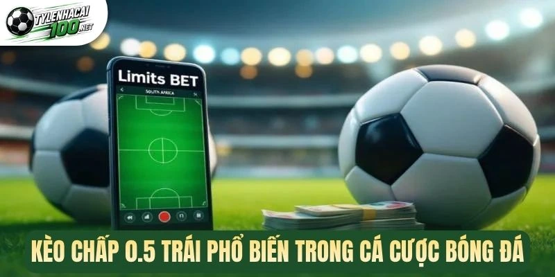 Kèo Châu Á - Hình Thức Đặt Cược Bóng Đá Dễ Hiểu, Hấp Dẫn 3 Kèo chấp 0.5 trái phổ biến trong cá cược bóng đá