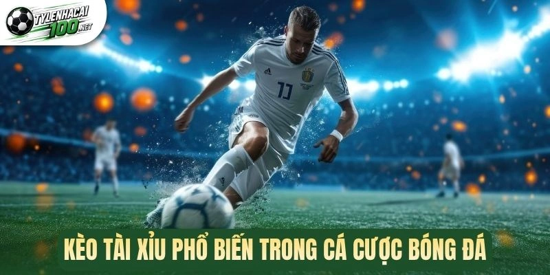 Kèo tài xỉu phổ biến trong cá cược bóng đá