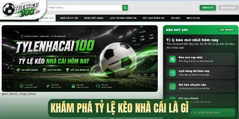 Khám phá tỷ lệ kèo nhà cái là gì