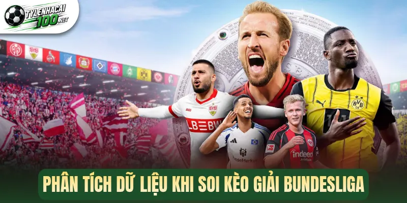 Phân tích dữ liệu khi soi kèo giải Bundesliga