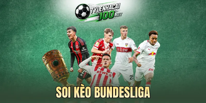 Phân tích dữ liệu khi soi kèo giải Bundesliga