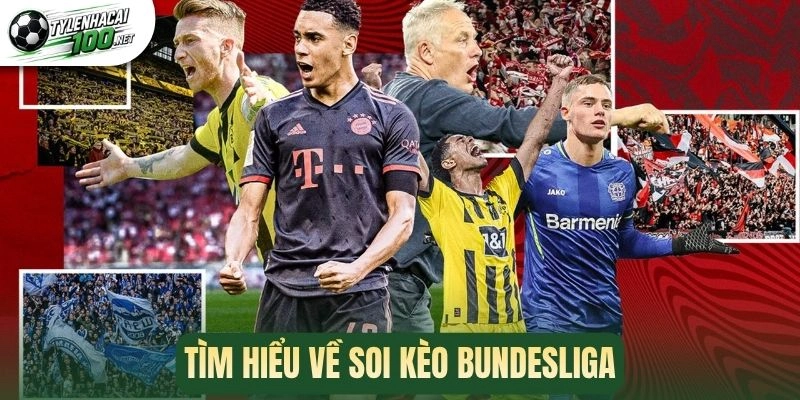 Tìm hiểu về soi kèo Bundesliga