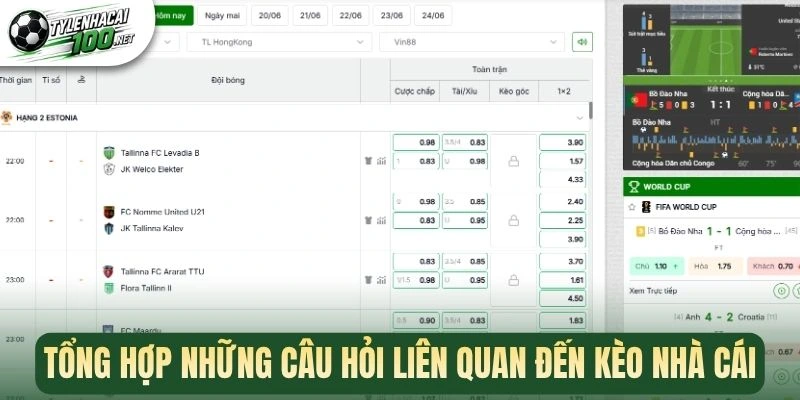 FAQs - Giải Đáp Các Thắc Mắc Cơ Bản Về Tỷ Lệ Kèo Nhà Cái 3 Tổng hợp những câu hỏi liên quan đến kèo nhà cái