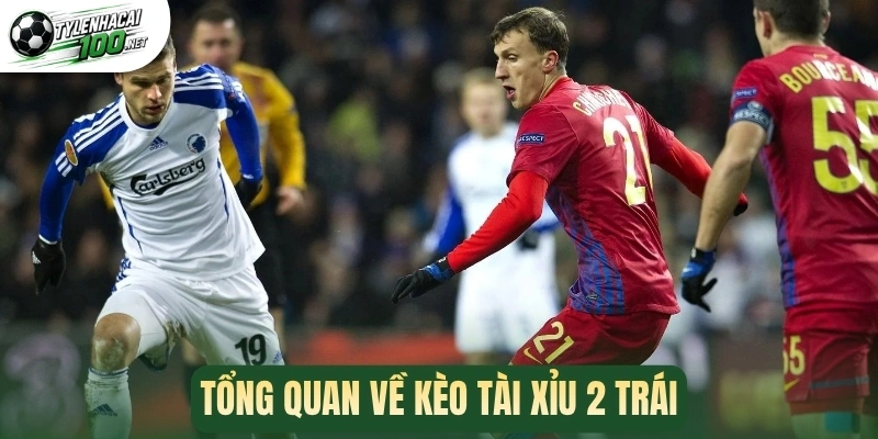 Tổng quan về kèo tài xỉu 2 trái