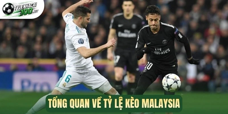 Tổng quan về tỷ lệ kèo Malaysia