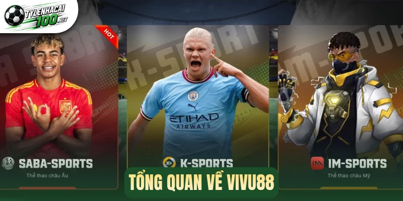 Vivu88 - Đồng Hành Cùng Fan Hâm Mộ Thể Thao Với Top Kèo Hot 1 Vài nét về Vivu88