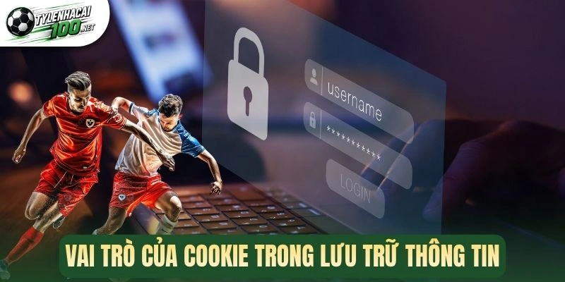 Vai trò của cookie trong lưu trữ thông tin
