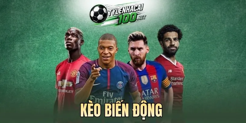 Cách đọc kèo biến động siêu đơn giản