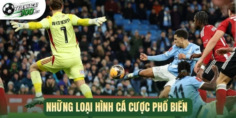 Những loại hình cá cược phổ biến 