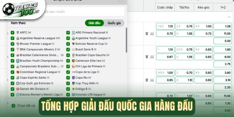 Tổng hợp giải đấu quốc gia hàng đầu