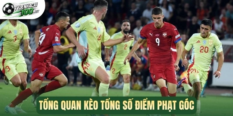 Kèo Tổng Số Điểm Phạt Góc - Dự Đoán Sức Ép, Làm Chủ Kèo Đấu 1 Tổng quan kèo tổng số điểm phạt góc