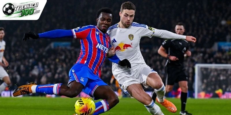 Tỷ Lệ Kèo Leeds United Vs Crystal Palace - NHA, 20/09/2026 1 Thế trận khó chịu sắp tới